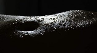 erotismo